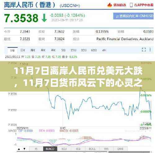 11月7日货币风云下的心灵之旅,人民币波动中的内心宁静与自然美景的共舞