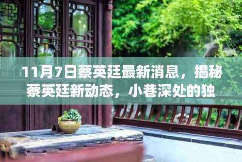 揭秘蔡英廷最新动态,小巷深处的美食冒险之旅