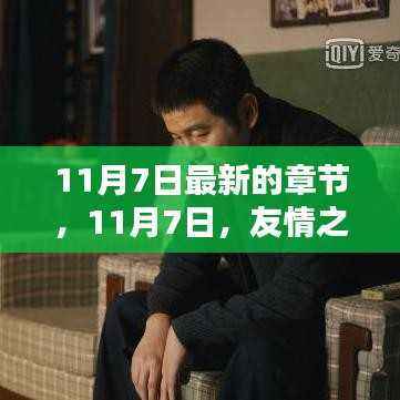友情之光的温馨章节,11月7日的最新篇章