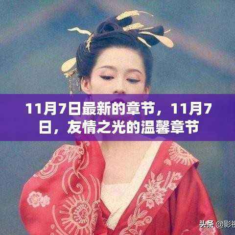 友情之光的温馨章节,11月7日的最新篇章