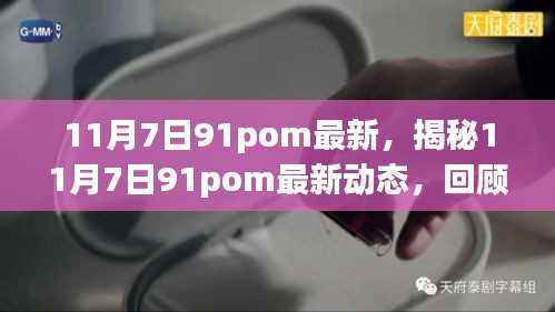 揭秘,11月7日91pom最新动态与背景回顾,重大事件及其深远影响