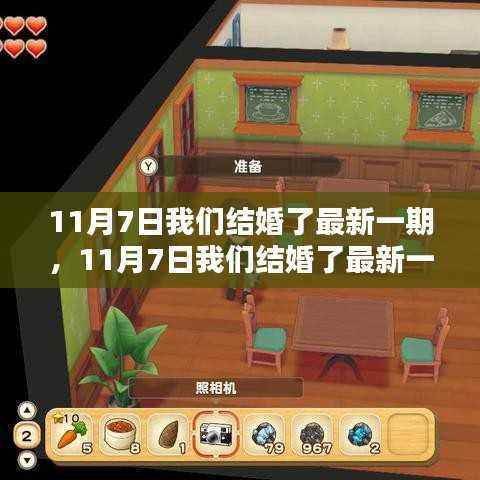 11月7日我们结婚了最新一期全面评测与介绍