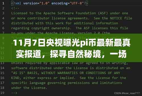 央视揭秘Pi币，探寻自然秘境的意外旅行之旅