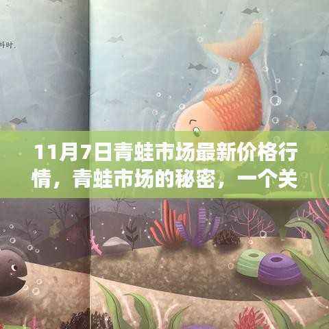 11月7日青蛙市场探秘,价格行情与友情陪伴的温馨故事