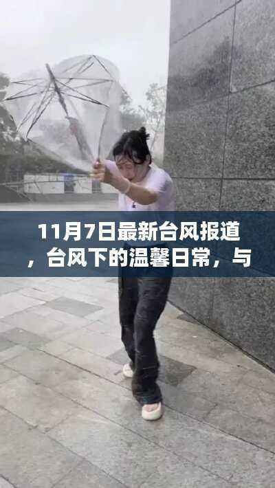 台风下的温馨日常,风雨共舞,相依相伴