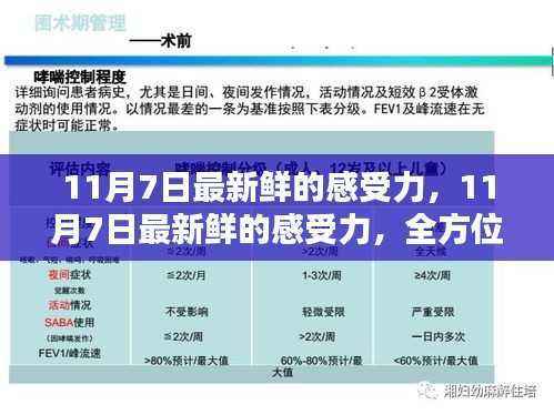 11月7日最新感受力，全方位指南助你掌握新技能与感受力提升的魅力体验