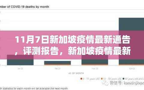 新加坡疫情最新通告(深度解析版)评测报告出炉,疫情动态与应对策略分析