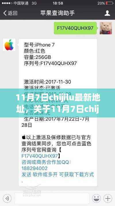 11月7日chijilu最新地址详解及测评介绍