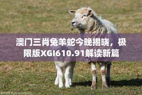 澳门三肖兔羊蛇今晚揭晓,极限版XGI610.91解读新篇