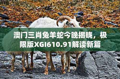 澳门三肖兔羊蛇今晚揭晓,极限版XGI610.91解读新篇
