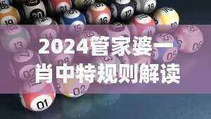2024管家婆一肖中特规则解读:掌中版XAF98.69全新释义