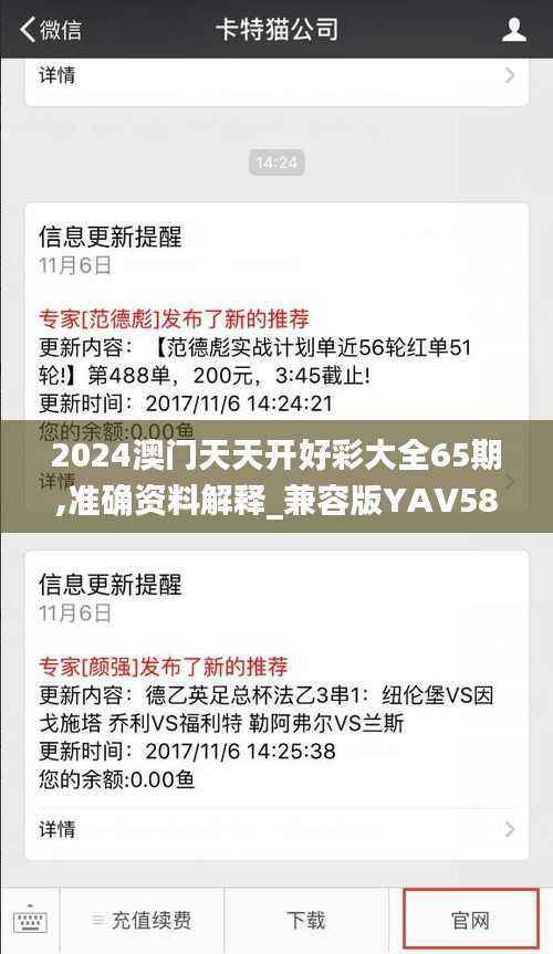 2024澳门天天开好彩大全65期,准确资料解释_兼容版YAV584.44