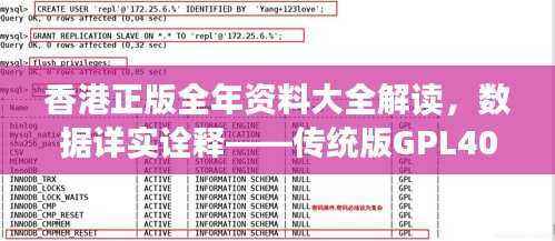 香港正版全年资料大全解读,数据详实诠释——传统版GPL40.36