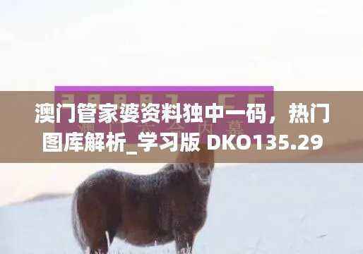 澳门管家婆资料独中一码,热门图库解析_学习版 DKO135.29