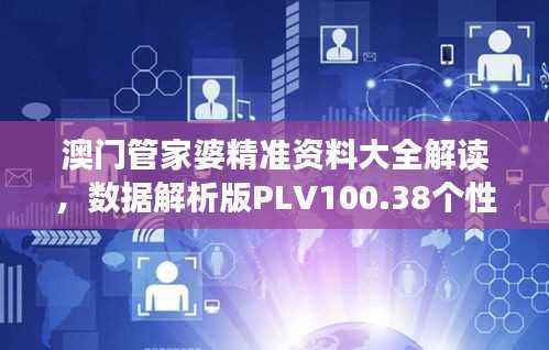 澳门管家婆精准资料大全解读,数据解析版PLV100.38个性化版
