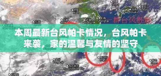 台风帕卡来袭,家的温馨与友情的坚守战