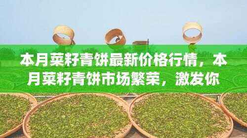 本月菜籽青饼价格行情与市场繁荣,激发成长力量,展现自信之光