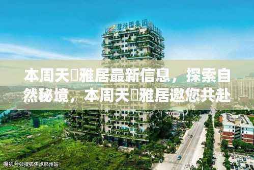 本周天璟雅居最新信息揭秘,自然秘境的心灵之旅