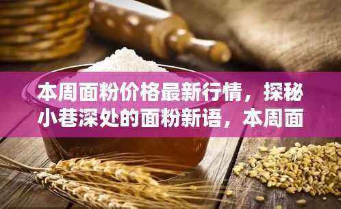 探秘面粉行情与隐藏版特色小店,小巷深处的面粉新语本周行情报道