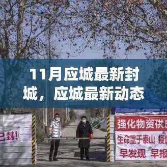 应城最新封城动态,十一月下的生活与希望
