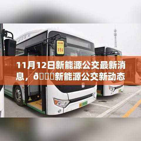揭秘新能源公交新动态,11月12日最新消息一览
