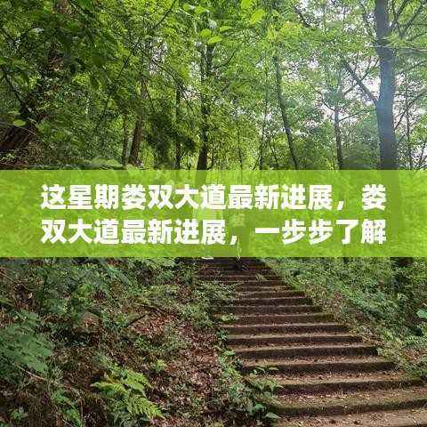 娄双大道本周最新进展动态速递,紧跟最新动态,了解每一步进展