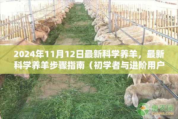 最新科学养羊步骤指南,从初学者到进阶用户的全方位指南(2024年11月12日更新)