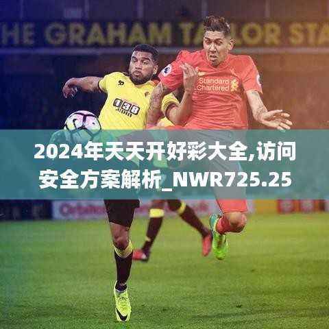 2024年天天开好彩大全,访问安全方案解析_NWR725.25合灵