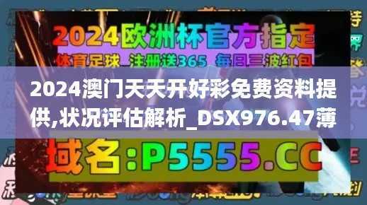 2024澳门天天开好彩免费资料提供,状况评估解析_DSX976.47薄荷版