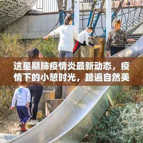 疫情下的自然探索与内心宁静绿洲,最新肺炎动态与小憩时光之旅