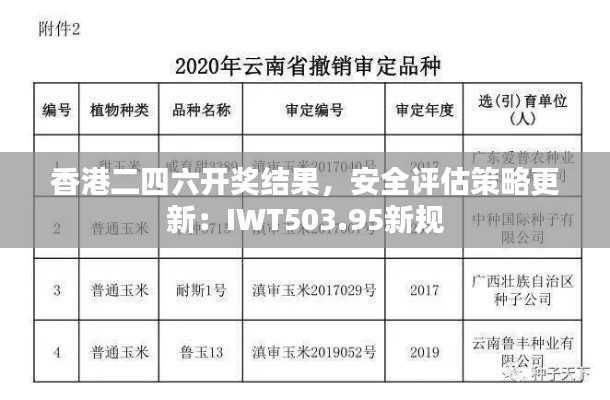 香港二四六开奖结果,安全评估策略更新:IWT503.95新规