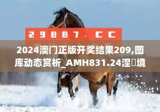 2024澳门正版开奖结果209,图库动态赏析_AMH831.24涅槃境