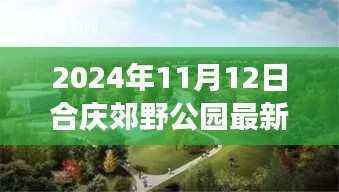 合庆郊野公园未来发展规划下的最新动态解析(2024年11月12日)