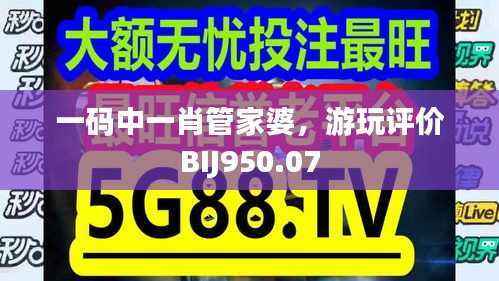 一码中一肖管家婆,游玩评价BIJ950.07