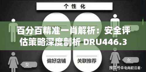 百分百精准一肖解析:安全评估策略深度剖析 DRU446.3