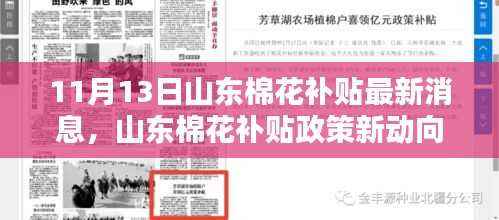山东棉花补贴政策最新动态解析与观点探讨,11月13日最新消息速递