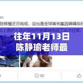 陈静瑜老师最新视频及深度解析报告——往年11月13日产品测评与洞察