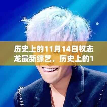 权志龙最新综艺节目深度测评与介绍,历史上的11月14日回顾与前瞻