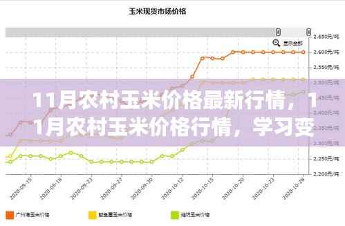 11月农村玉米价格最新动态，行情变化中学习成长，收获自信与成就感