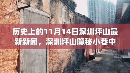 深圳坪山隐秘小巷特色小店传奇故事，味觉奇迹揭秘，11月14日最新新闻速递