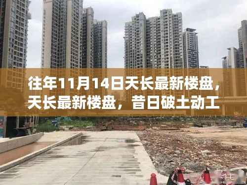 历年11月14日天长楼盘回顾与展望,破土动工到繁华崛起的蜕变之路