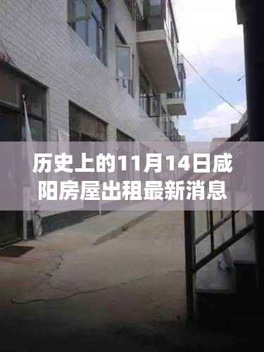 历史上的11月14日咸阳房屋出租市场概览与最新动态