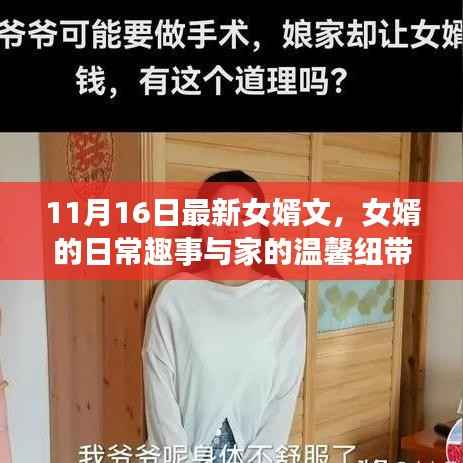 女婿的日常趣事与家的纽带——最新女婿文11月16日