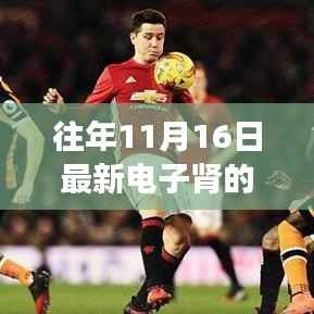 历年11月16日电子肾技术突破深度洞察,最新动态与消息速递