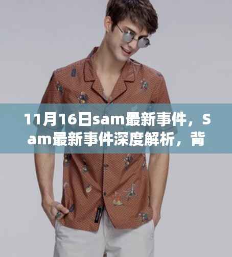 Sam最新事件,背景、进展与影响深度解析