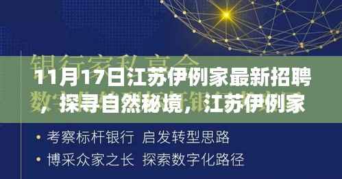 江苏伊例家招聘启程,探寻自然秘境之旅,寻找内心的宁静与平和