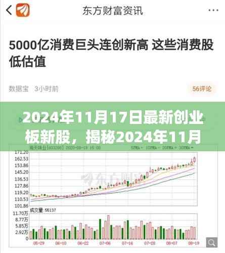 揭秘最新创业板新股,深度解读三大要点,尽在2024年11月17日新股动态