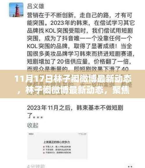 林子闳最新微博动态,背后的故事与时代影响揭秘