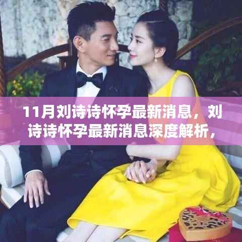 刘诗诗怀孕最新消息,深度解析、全面评测与介绍