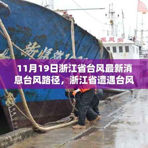 浙江省遭遇台风袭击,最新路径动态与深远影响报告